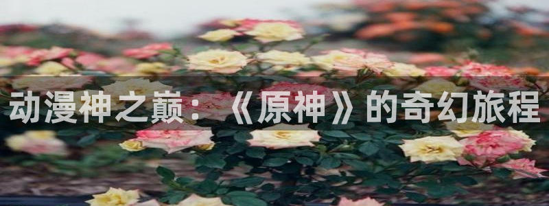 age专注动漫的门户网站