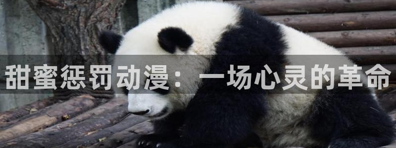 age动漫网上看：甜蜜惩罚动漫：一场心灵的革命
