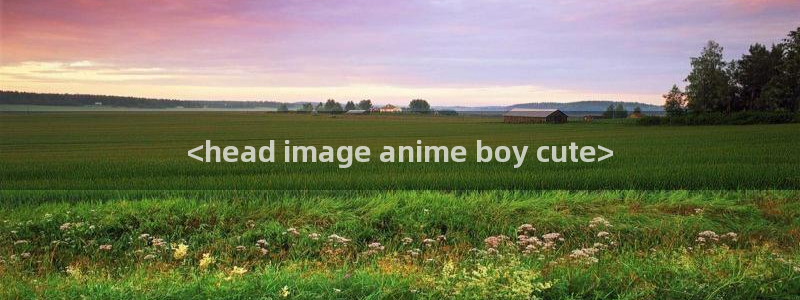 age专注动漫的门户网站：<head image anime boy cute>