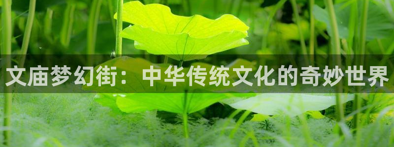 age动漫：文庙梦幻街：中华传统文化的奇妙世界