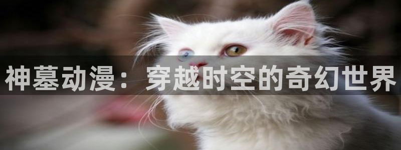 age漫画网：神墓动漫：穿越时空的奇幻世界
