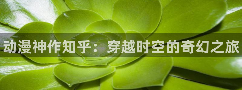 age动漫官网樱花动漫：动漫神作知乎：穿越时空的奇幻之旅