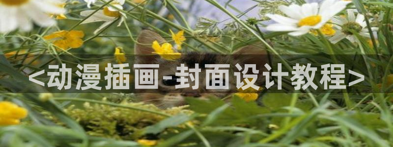 age动漫官网入口老版本：<动漫插画-封面设计教程>