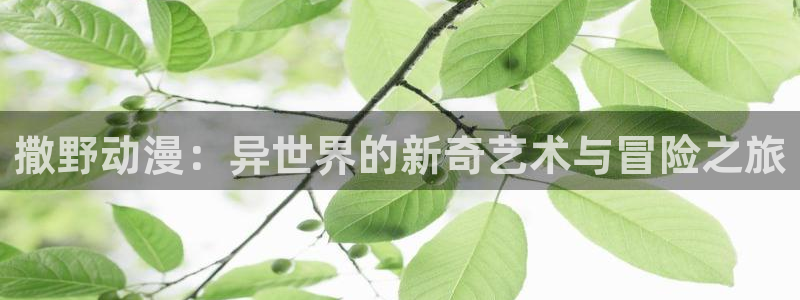 age动漫官网入口老版本：撒野动漫：异世界的新奇艺术与冒险之旅