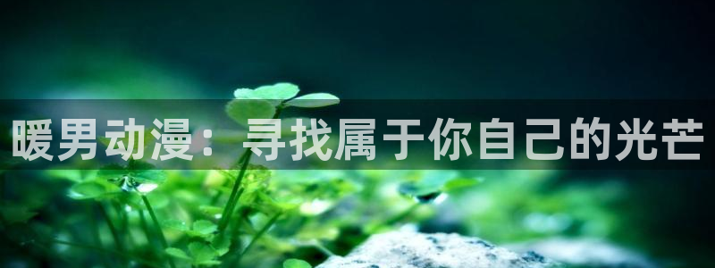 age动漫官网在线入口：暖男动漫：寻找属于你自己的光芒