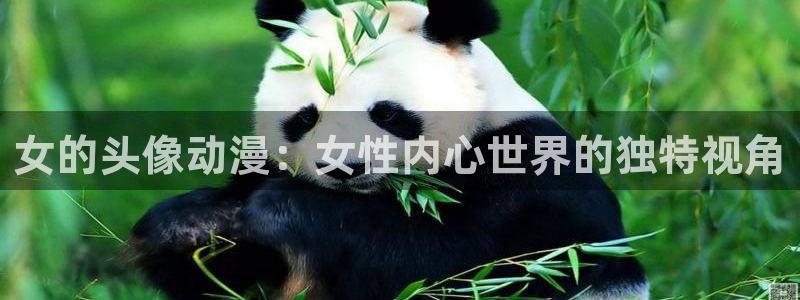 age动漫下载动漫全免费：女的头像动漫：女性内心世界的独特视角