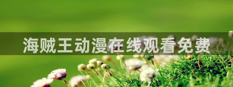 age动漫下载动漫全免费：海贼王动漫在线观看免费