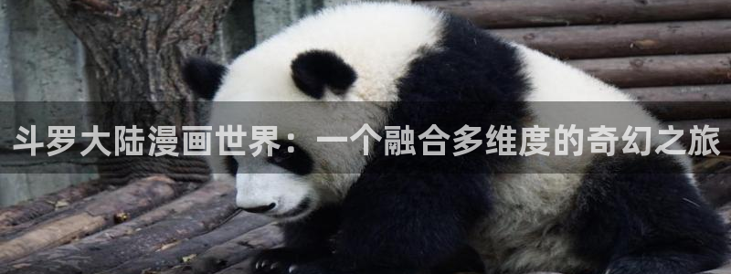 age动漫网下载：斗罗大陆漫画世界：一个融合多维度的奇幻之旅
