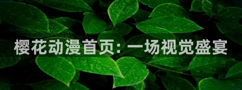 拷贝漫画 copymanager.ory网站：樱花动漫首页: 一场视觉盛宴