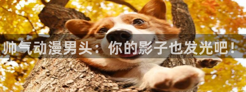 age动漫官网版入口：帅气动漫男头：你的影子也发光吧！