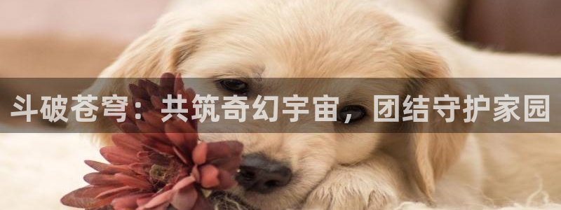 age樱花动漫