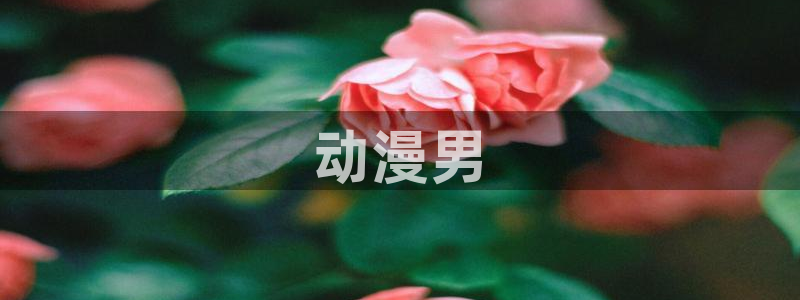 age动漫官网版入口