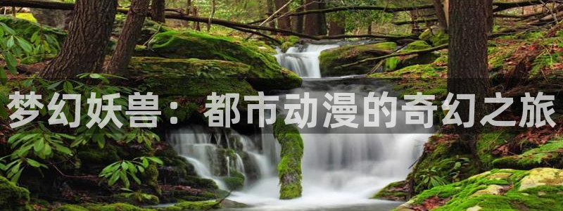 拷贝漫画 copymanager.ory网站
