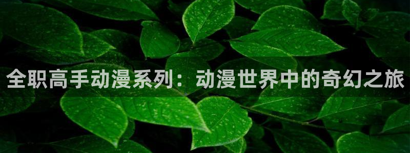 age动漫网下载