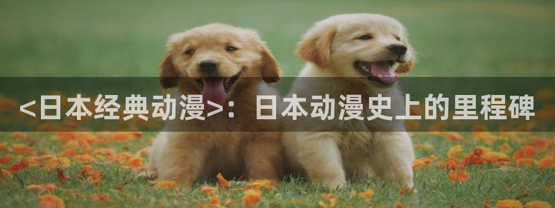 age动漫omofun