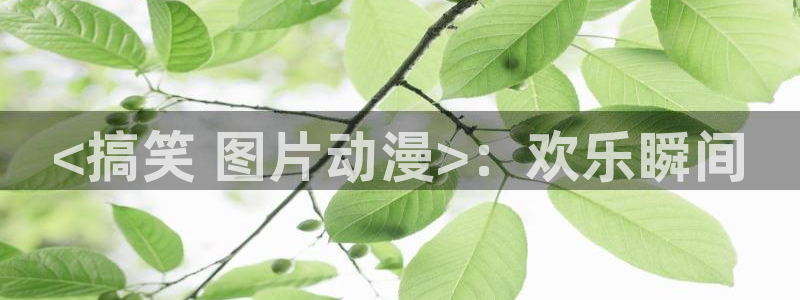 age动漫官网网址