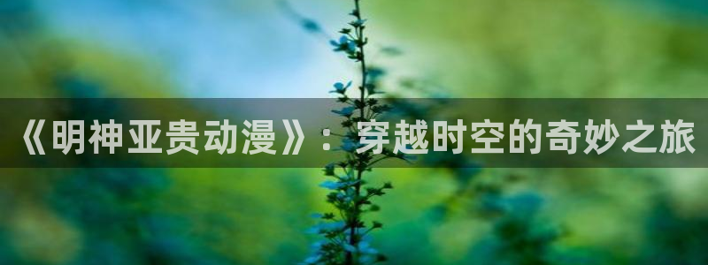 age动漫下载动漫全免费