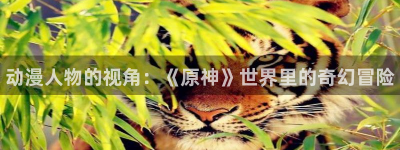age动漫专注动漫的门户网站