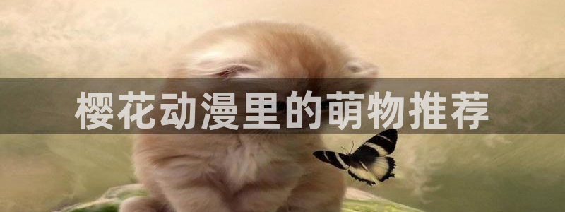 age动漫